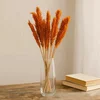 Cantal Grass Bunch - Orange x6