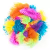 Dekorativno perje 5 g/Exotic (hobby pripomočki)