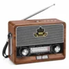 Retro Radio YG-2112