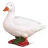 COLLECTA raca