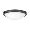 Hinkley HK-COLLIER-F-M-BX - Plafonsko svetlo COLLIER 3xE27/40W/230V, prečnik 48,3 cm