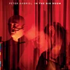 Peter Gabriel - In The Big Room (Live) (2 CD)