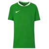 NIKE Funkcionalna majica  zelena / bela