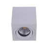 Emithor 48608 - Plafonsko spot svetlo SURFACE 1xGU10/50W/230V