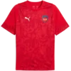 Puma Dres 1.FC Heidenheim Training Shirt