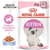 Royal Canin Hrana za mačke, 85g