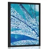 Plakat kaplje jutranje rose - 20x30 white