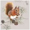 Serviete za decoupage Squirrel in Winter - 1 kos (Serviete za)