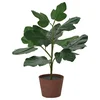 SMATÄRNA Veštačka biljka u saksiji, papir/smokva, 12 cm