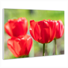 IR panel MySun Art - C08