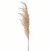 Veštačka grana cveća Pampas, 100cm, Beli
