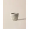 Madame Coco Saksija za cveće Dolly, 20cm, Bela