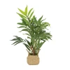 MID.YOU Umetna Rastlina Chamaedorea