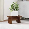 vidaXL Stolica Naravna 29 x 20 x 17 cm Mahagonijevo les