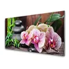 tulup.si Slika na steklu Bamboo orchid spa 125x50 cm 2 obešalnika