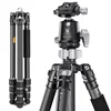 K&F 1.7m Carbon Tripod/36mm Metal Ball Head X284C4+BH-36