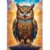 Art puzzle - Puzzle General Owl - 500 kosov