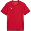Puma Dres teamGOAL Matchday Jersey jr