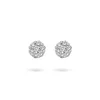 BLUSH DIAMONDS 7603WDI