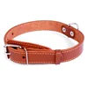 Usnjena pasja ovratnica - 48-63 cm, 35 mm - rjava