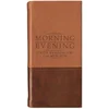 Morning And Evening - Matt Tan/Burgundy