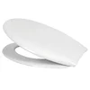 Wc daska arizona c1 duroplast pvc okov 1450gr