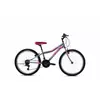 CAPRIOLO Adria Stinger 24 sivo pink