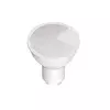 Rabalux LED sijalica 79132 SMD-LED, E27, A60, 12W, 4000K