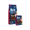Brit Premium by Nature Senior Large / Extra Large 15 kg