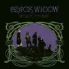 Black Widow - Return To The Sabbat (Reissue) (LP)