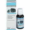 AlfaVet | RodiCare Apetit sirup15ml