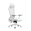 Ergonomska kancelarijska stolica UGD Silver Polare