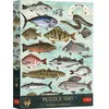 shumee 500 Finders Keepers Puzzle: Riba v klubu