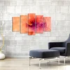Wallity set figura 5ABSMDF-36, 5 dijelova
