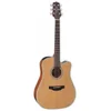 TAKAMINE elektro-akustična kitara GD20CE-NS