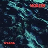 Hoazin - Nyama (LP)