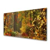 tulup.si Slika na akrilnem steklu Jesenski gozd narava 125x50 cm 4 obešalnika