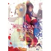 Holy Grail of Eris, Vol. 3 (light novel)