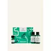 Purified & Fearless Tea Tree Skincare Kit