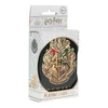 Karte Paladone Harry Potter - Hogwarts - School of Witchcraft and Wizardry