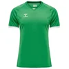 Hummel Funkcionalna majica Core Volley travnato zelena/bela