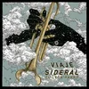 El León Pardo - Viaje Sideral (Picture Disc) (LP)