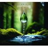 ACHIMMADANG Reed Robert - Sanctuary IV (CD+DVD)