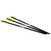 Excalibur Bolt Carbon Quill 16.5” Illuminated
