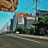 Rhinos Are People Too - Hello From The Gutters (Limited Edition) (LP)