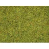 Posip - poletni travnik. 20 g/H0 /
