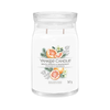 Yankee Candle White Spruce & Grapefruit