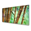 tulup.si Slika na akrilnem steklu Narava bamboo rastlin 140x70 cm 2 obešalnika