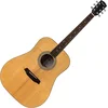 Pasadena PD-500 All Solid Natural Gloss Akustična gitara (Samo otvarano)