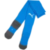 Puma Nogavice teamLIGA26 Core